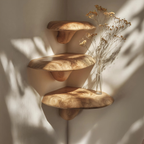 Étagère champignon en bois massif style ferme pour décoration de chambre et aménagement intérieur SILDTTNCMS002